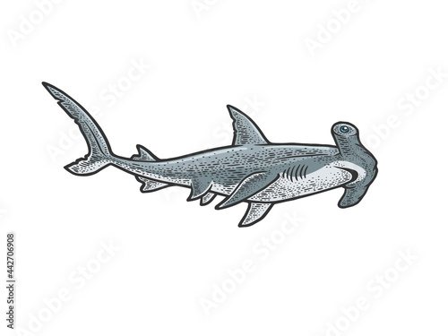 Hammerhead shark sketch raster illustration