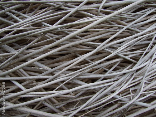 Pale Woven Willow
