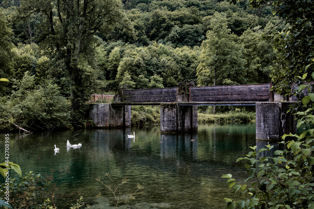 Altwasser der Altmühl am Main-Donau-Kanal Altwasser der Altmühl am Main-Donau-Kanal