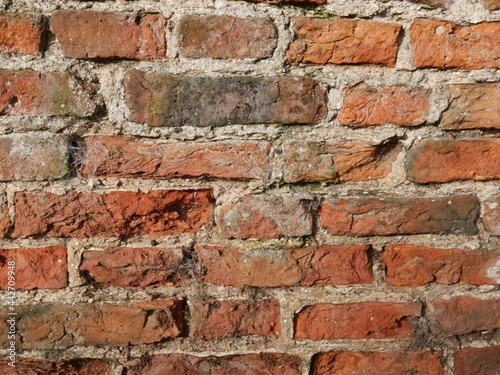 Old Brick Wall