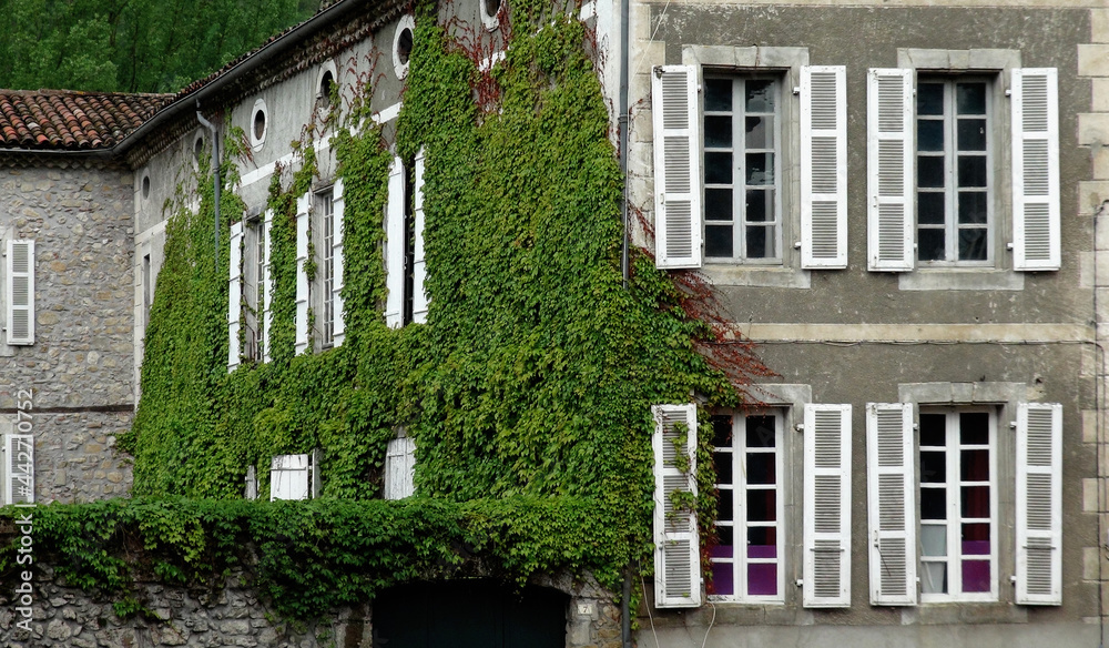 Fototapeta premium house with windows and ivy, Le Mas d' Azil, France