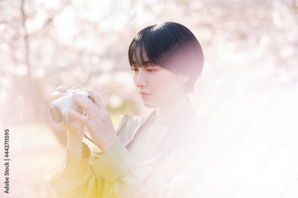 桜の写真を撮る女性