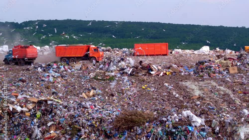 The landfill is located next to the forest. Orange garbage trucks unload garbage. Household waste management industry. Utilities. High quality. 4k footage.