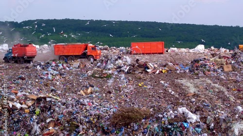 The landfill is located next to the forest. Orange garbage trucks unload garbage. Household waste management industry. Utilities. High quality. 4k footage. photo