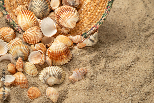 Seashells scatter from straw hat abandoned on sandy beach, summer background