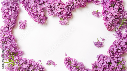 spring background. lilac flowers on white background, copy space