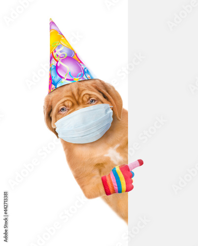 Puppy wearing party cap and medical protective face mask  points on empty white banner. Isolated on white background © Ermolaev Alexandr