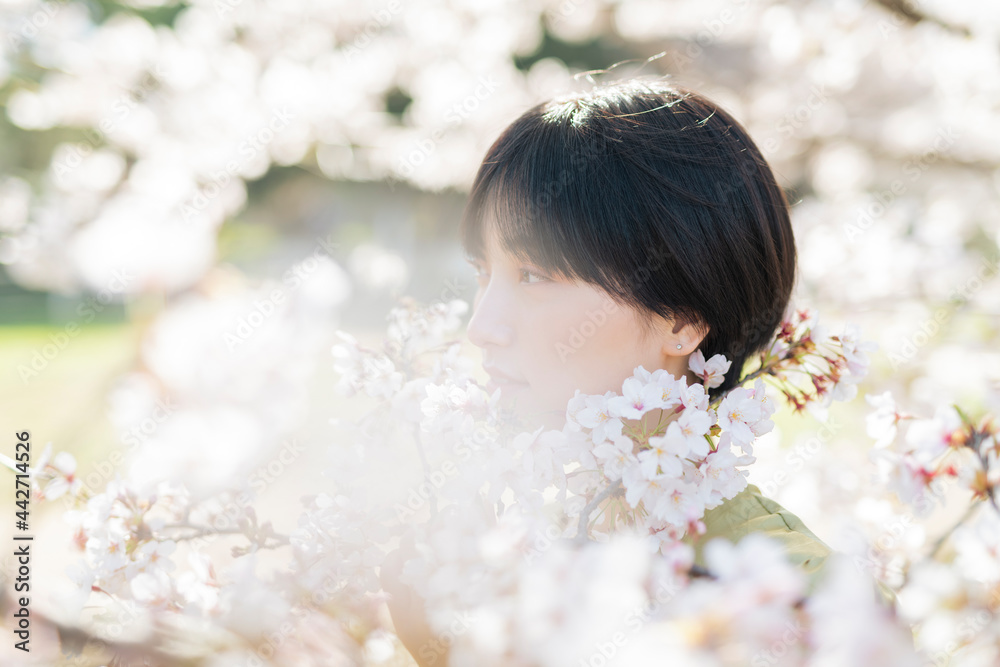 桜と女性のポートレート