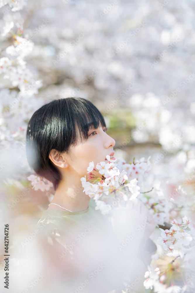 桜と女性のポートレート 桜と女性のポートレート