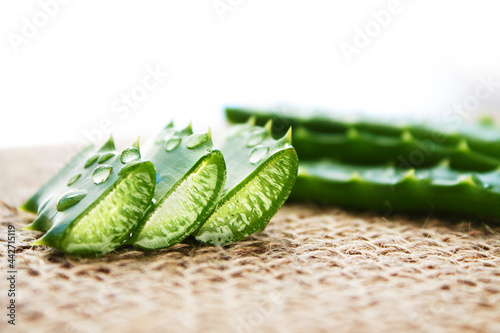 Aloe leaf slices with drops