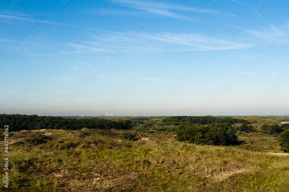 Landscape at the Zuidduinen Landscape at the Zuidduinen