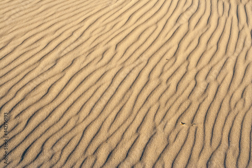 Patterns in sand