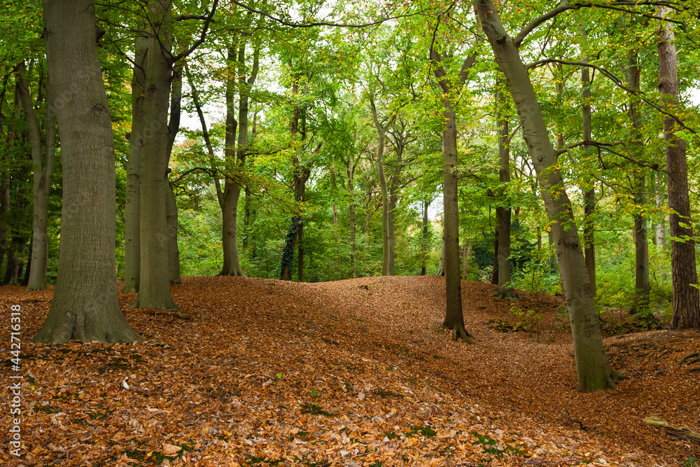 Fototapeta premium De Horsten Royal Estates in fall