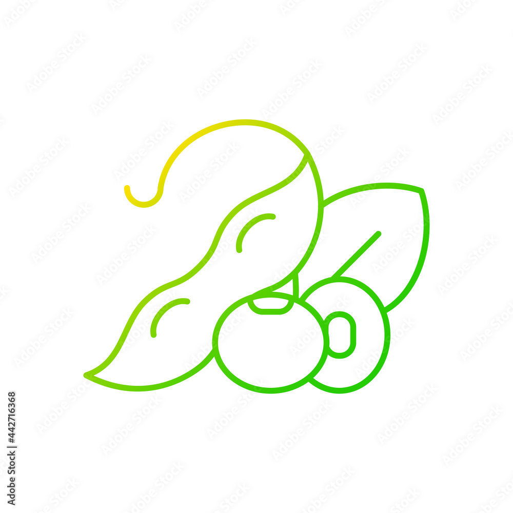 Obraz premium Soybean gradient linear vector icon. Healthy foods. Natural milk source. Organic ingredients full of nutritions. Thin line color symbols. Modern style pictogram. Vector isolated outline drawing