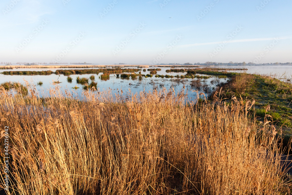 Landscape at Groene Jonker