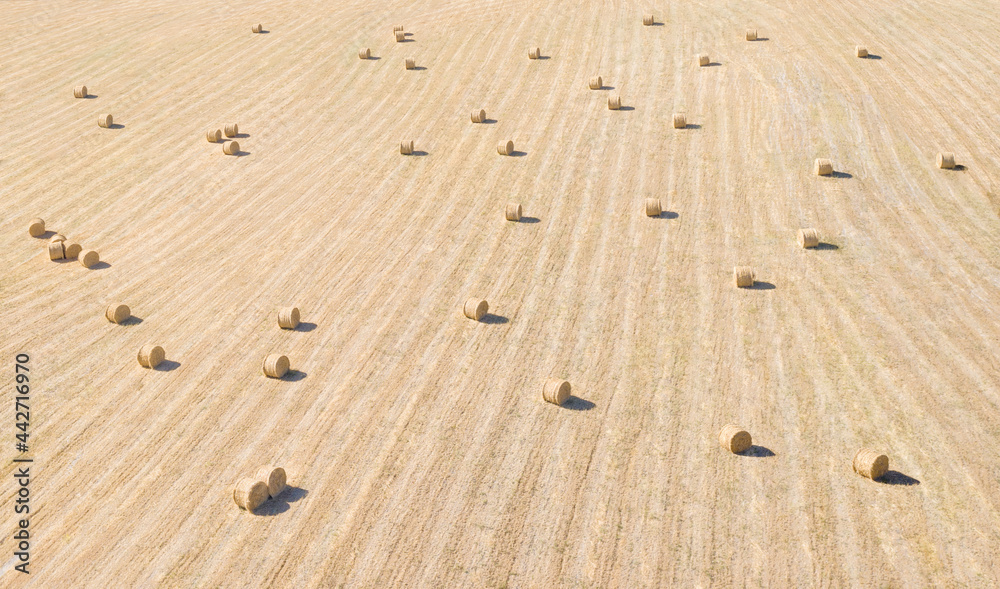 Aerial panorama of hay field with hay bales and stripes pattern Aerial panorama of hay field with hay bales and stripes pattern