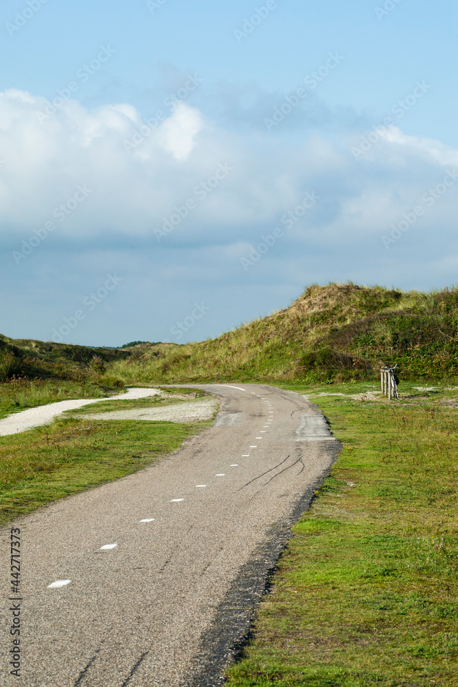 Road at the Zuidduinen