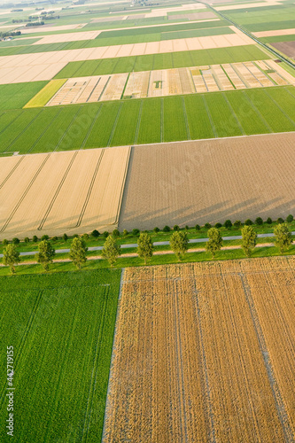 Landschap van Noord-Holland; Landscape of Noord-Holland photo