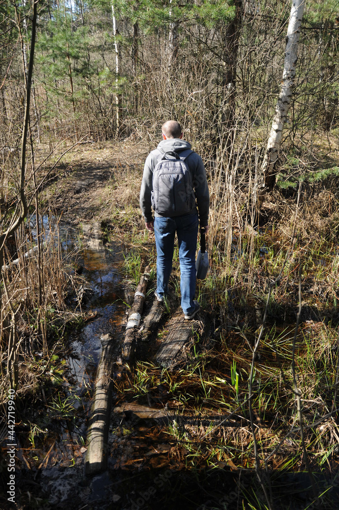 A man with a backpack walks along a wet forest road. A man in ordinary clothes. Flooded forest path. Spring forest. 