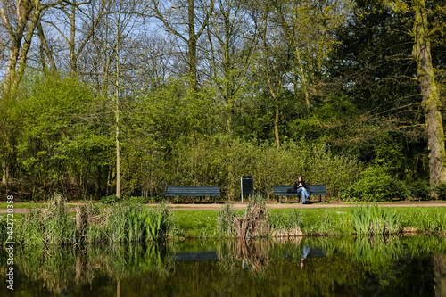 Stadspark in Amsterdam, Citypark in Amsterdam photo