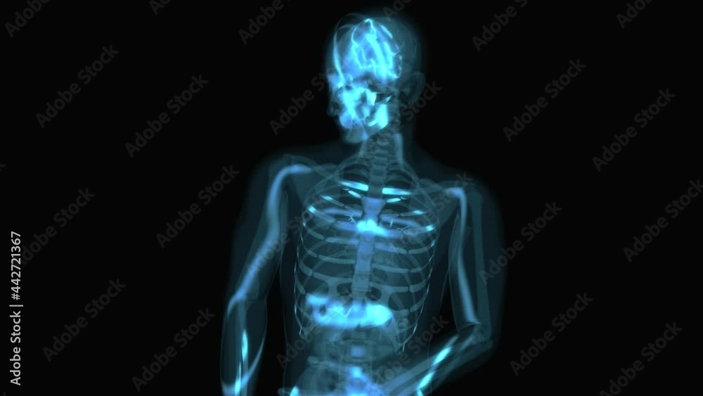 4K abstract Xray anatomy concept of a shoulder pain 4K abstract Xray anatomy concept of a shoulder pain