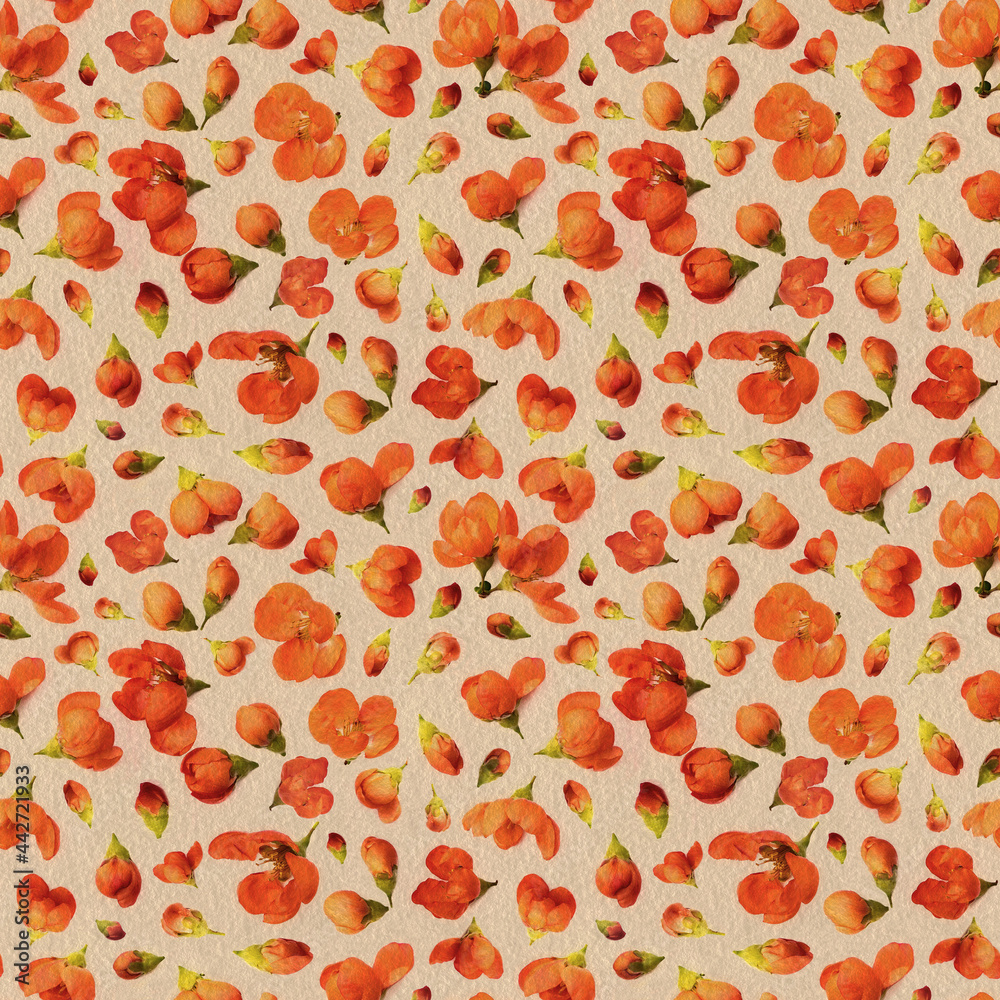 Creative warm pastel background of delicate spring quince flowers or floral seamless pattern Creative warm pastel background of delicate spring quince flowers or floral seamless pattern