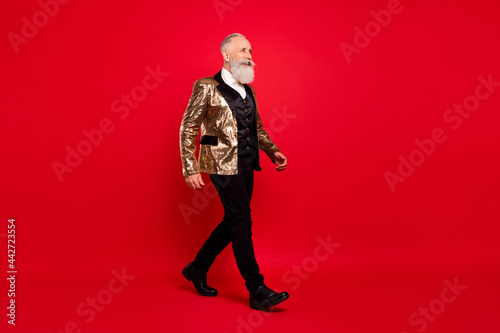 Full length profile side photo of aged man happy positive smile go walk step stage festival isolated over red color background © deagreez