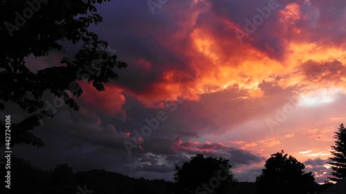 Beautiful sunset with orange clouds and fir trees in the village