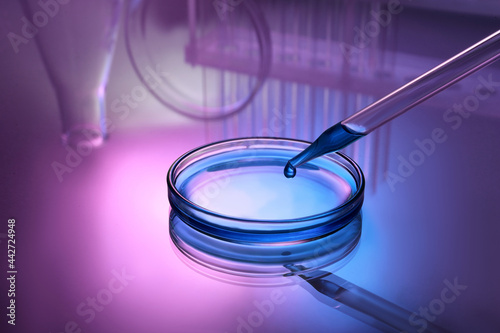 Dripping reagent into Petri dish with sample on table, toned in pink and blue