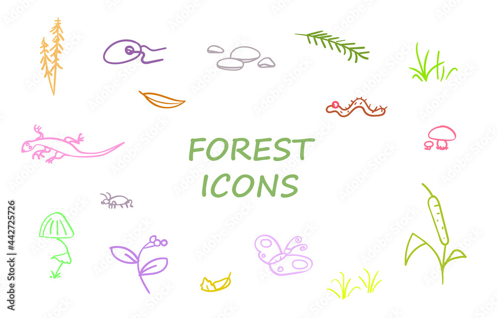 Forest plants, bugs and leaves. Set of hand drawings for icons or illustrations.