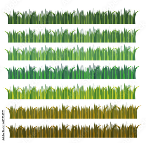 Grass isolated on white background.Green, yellow and brown.Meadows, lawns, fields and gardens.Sign, symbol, icon or logo.Summer, spring and autumn.Nature concept.