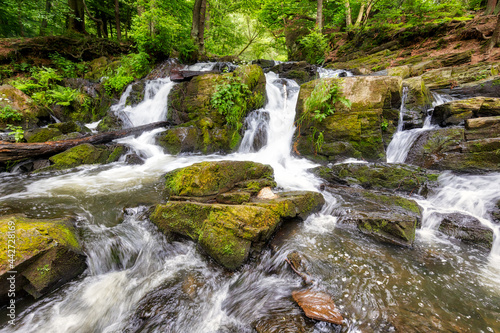 Fototapeta Naklejka Na Ścianę i Meble -  Selkewasserfall im Harz Region Harzgerode Selketal