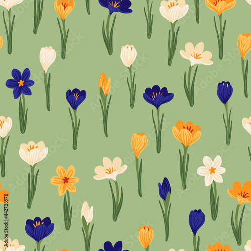 Spring flower crocus, saffron floral seamless pattern. Background for wrapping paper, textile, fabric, wallpaper, scrapbook, congratulation Easter, Happy Mothers and Womens Day. Flat cartoon design