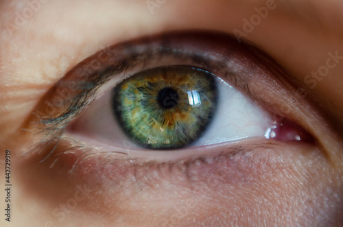 The green eye of a person in macro photography