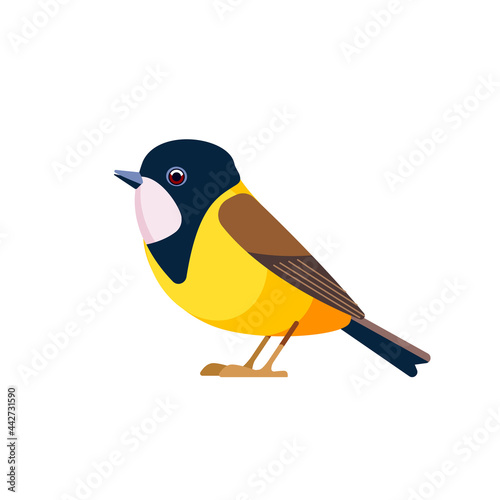 Golden whistler or Australian golden whistler, is a species of bird found in a forest, woodland, mallee, mangrove in Australia. Cartoon, flat character of ornithology, vector illustration isolated