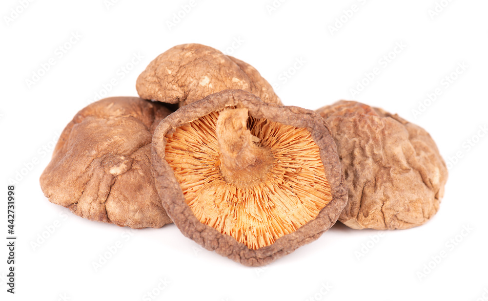 Dried shiitake mushrooms, isolated on white background. Japanese forest mushroom. Lentinula edodes. Close up. Dried shiitake mushrooms, isolated on white background. Japanese forest mushroom. Lentinula edodes. Close up.