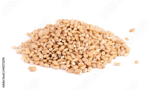 Pearl barley grains, isolated on white background. Barley seed close up. Top view.