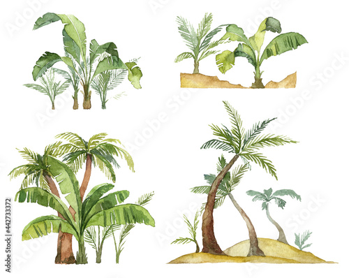 Collection of watercolor palm backgrounds. Rainforest tropical bushes