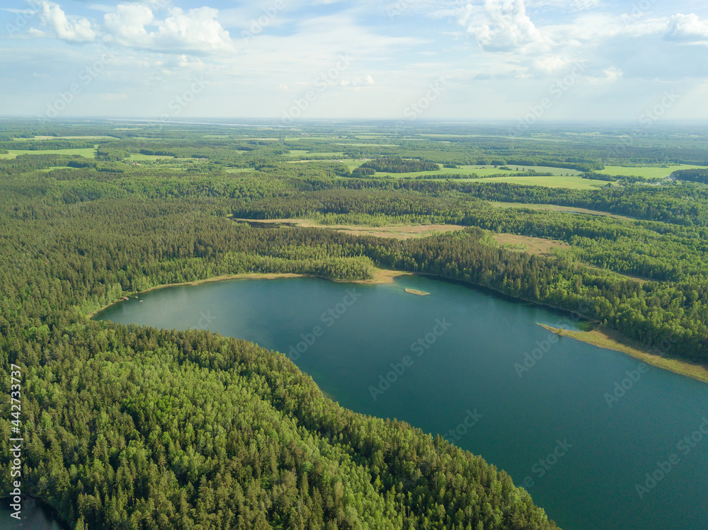 Drone view of Lake Hlubelka in the forest on a sunny summer day in Narochansky National Park, Belarus.