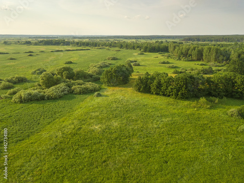 Drone view of a beautiful landscape of a green field with trees on a sunny summer day