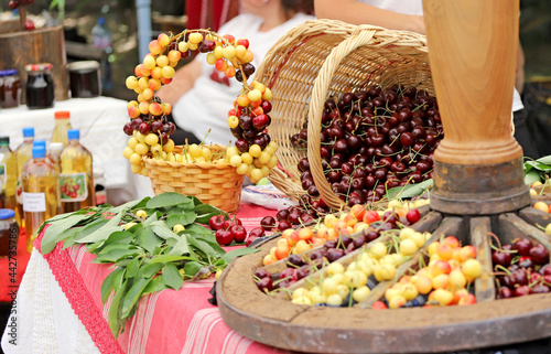 White and red cherries in wicker basket, cherry festival. Selective focus