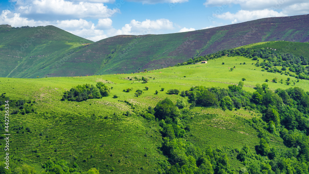Fototapeta premium Panoramic green landscape of high mountains with small house on top of the hill. Santander.