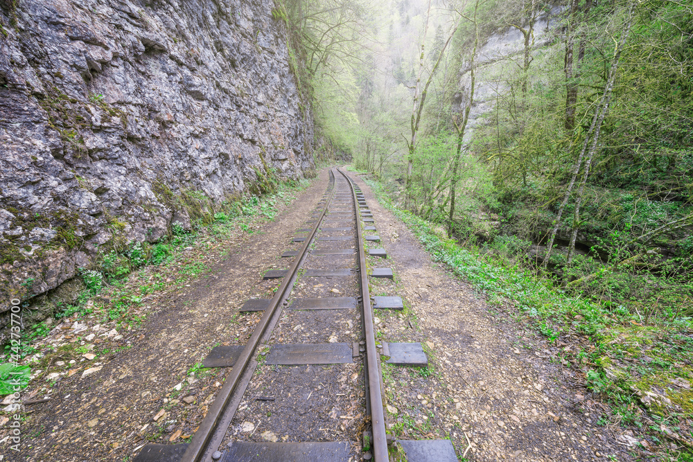 Fototapeta premium Narrow gauge railway in the deep narrow Guam canyon. Western Caucasus.