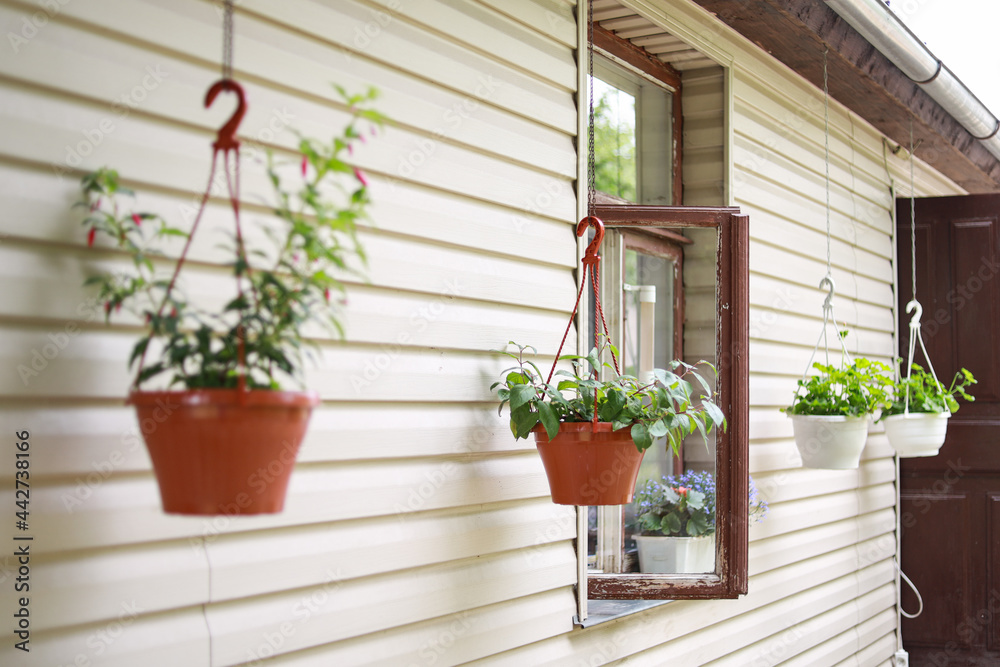 House view with green hanging flower pots from roof.