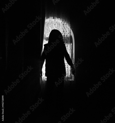 Silhouette of an unknown shadow figure on a door through a closed glass door. The silhouette of a human in front of a window at night. © zef art