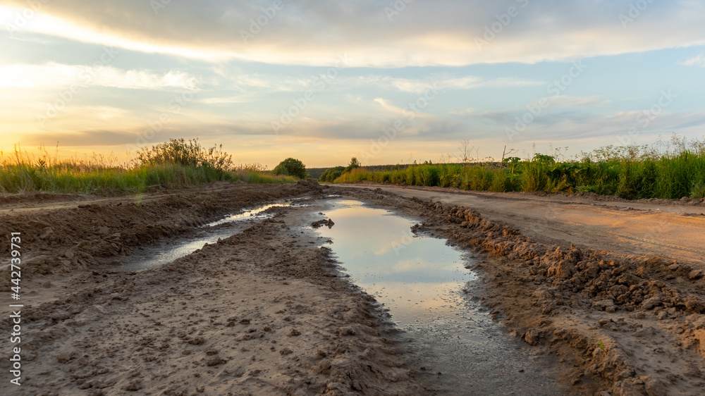 Rural road with a puddle at sunset