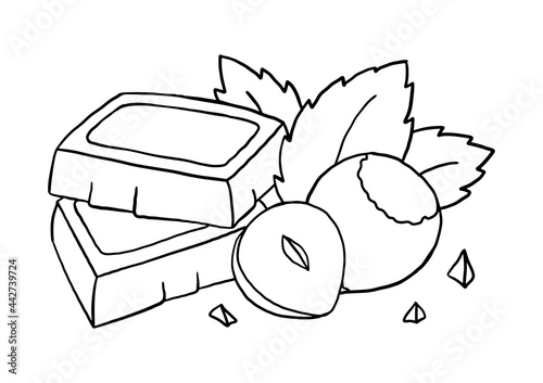 Slices of chocolate with hazelnuts and mint. Hand drawn food sketch. Vintage style. Black and white vector illustration isolated on white background.
