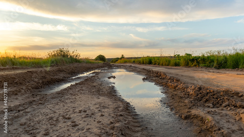 Rural road with a puddle at sunset