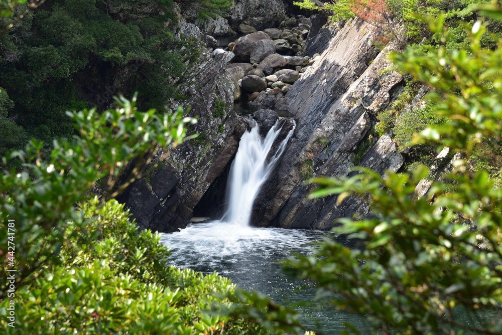 Fototapeta premium Waterfall of Toroki, Yakushima, Kagoshima, Japan