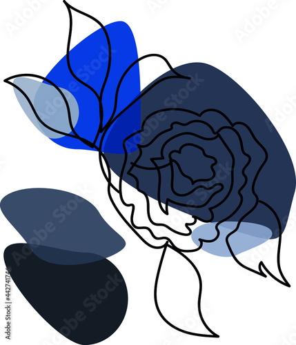 drawing of a rose in one line, flower in vector
